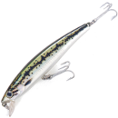 ARC Minnow