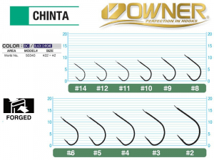 OWNER CHINTA
