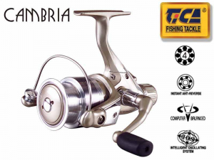 TICA CAMBRIA LY Rear drag